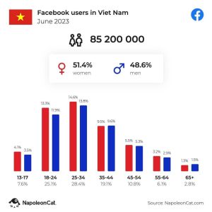 dịch vụ chăm sóc fanpage