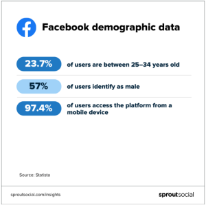 facebook audience insight