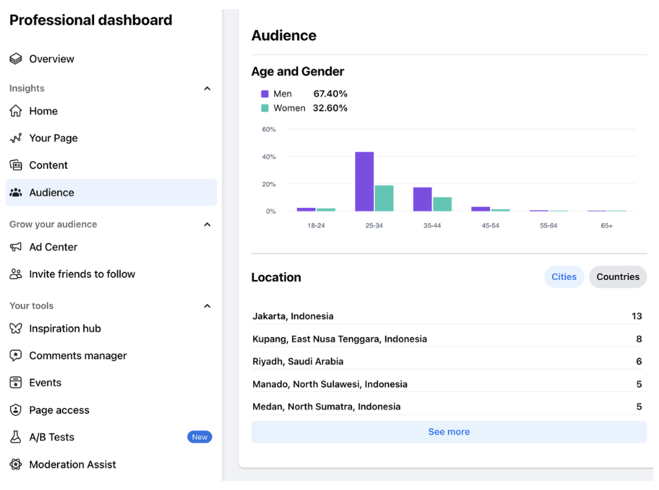 facebook-audience-insights