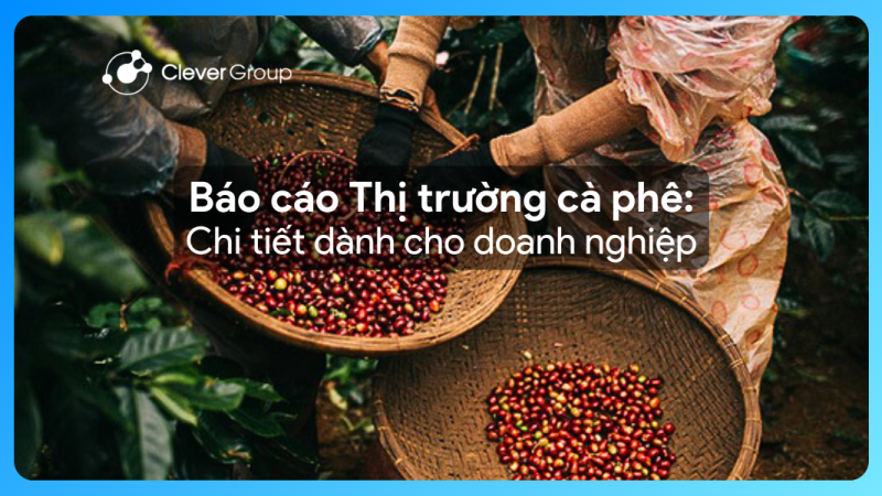 Báo cáo thị trường cà phê 2024: Chi tiết dành cho doanh nghiệp