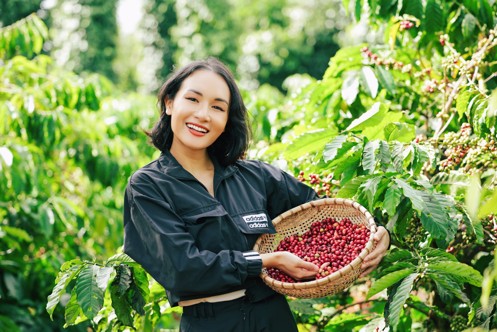thị trường cà phê