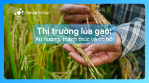 thị trường lúa gạo