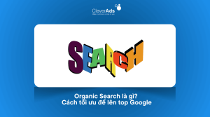 Organic Search là gì Cách tối ưu để lên top Google