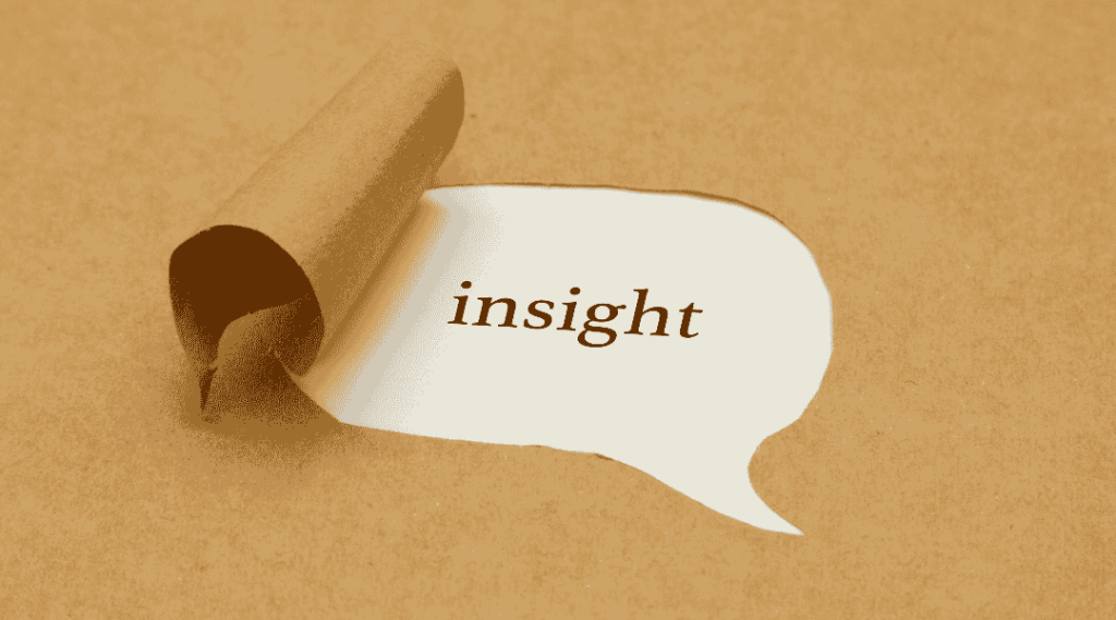 insight khách hàng