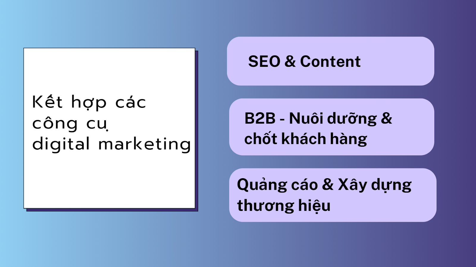 công cụ digital marketing
