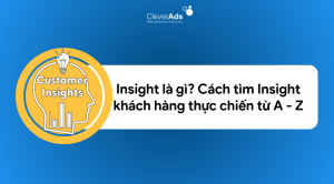 Insight